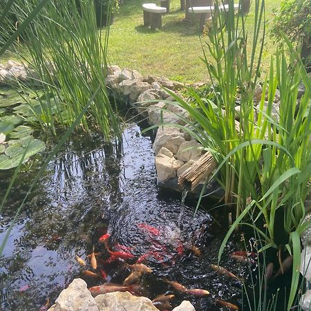 Lelle-Kert Apartman 02 Balatonlelle Zewnętrze zdjęcie
